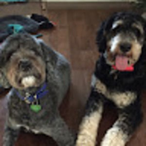 Meet your Posher, Jonathan